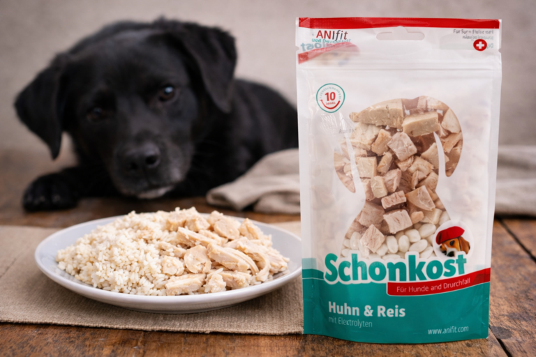 Durchfall beim Hund – Ursachen und bewährte Hausmittel, die wirklich helfen